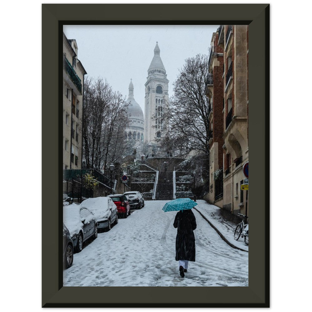 January in Paris - Janvier à Paris