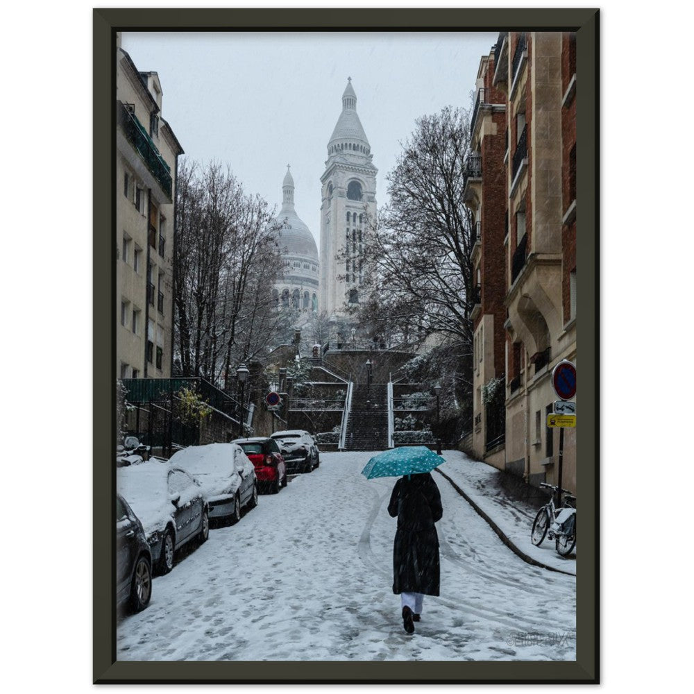 January in Paris - Janvier à Paris